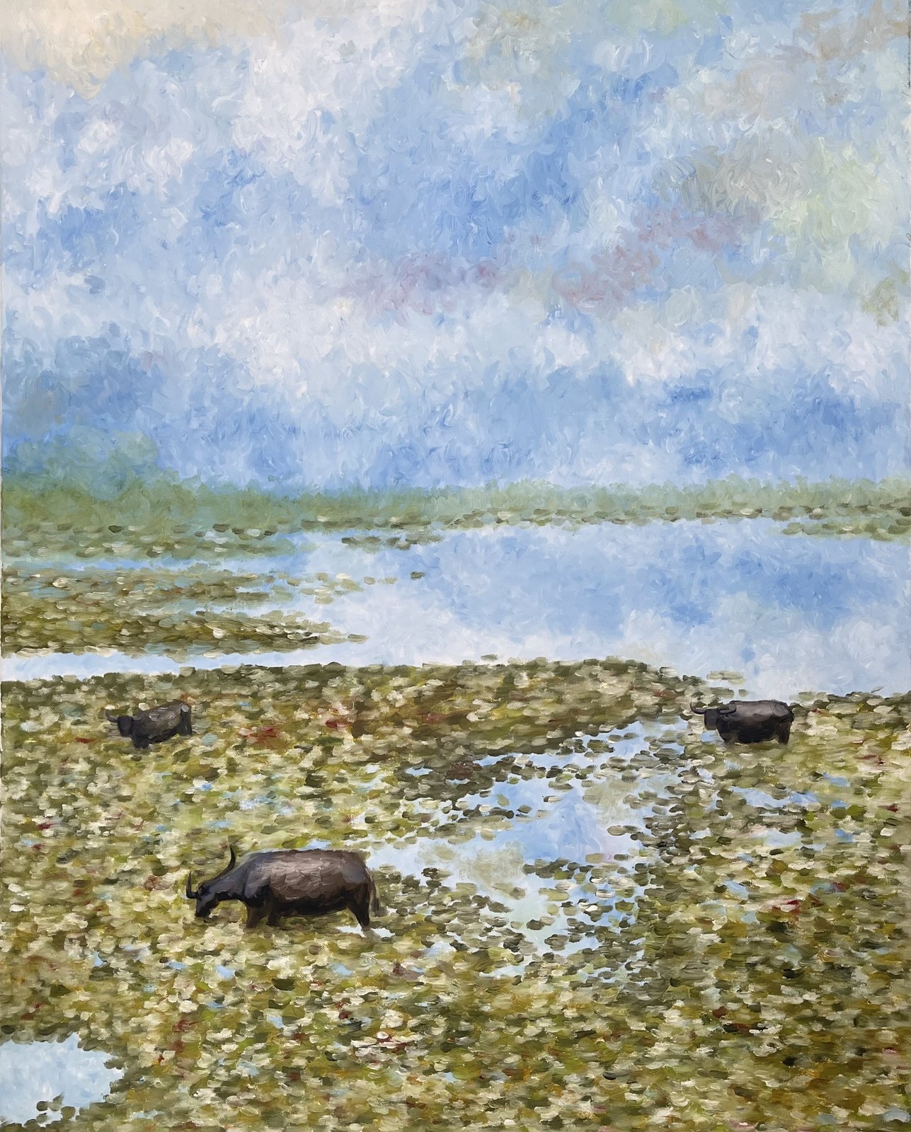 Water buffalo grazing in a wetland under a cloudy sky