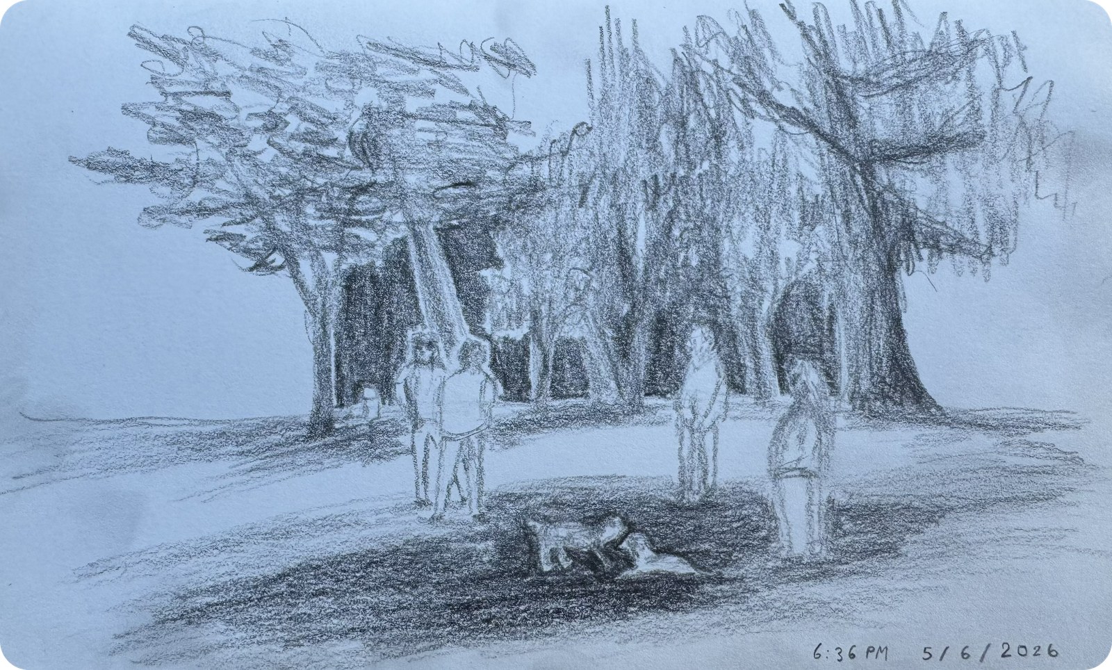 Pencil sketch of people and dogs under trees in a park, 6:36 PM, May 6, 2026