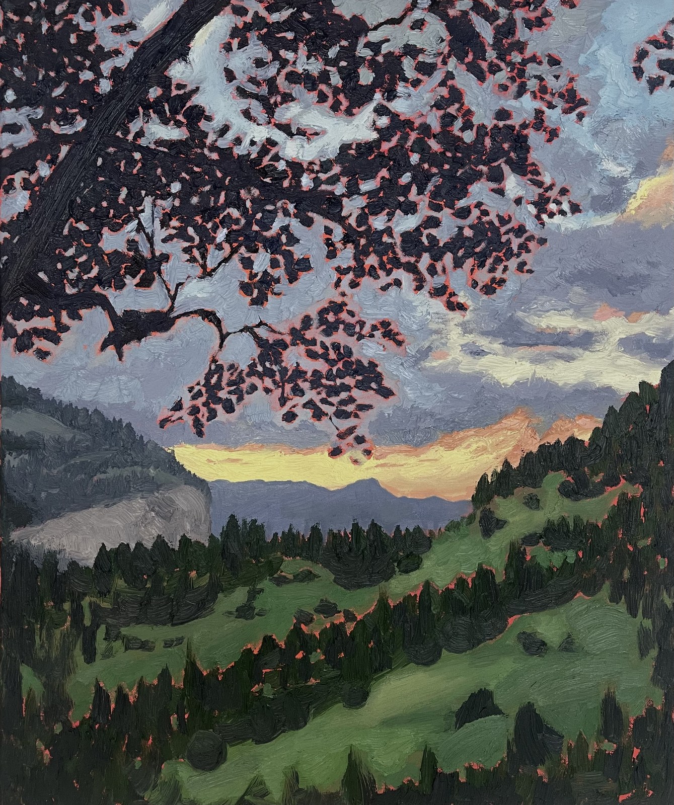 Valley at sunset framed by a blossoming tree