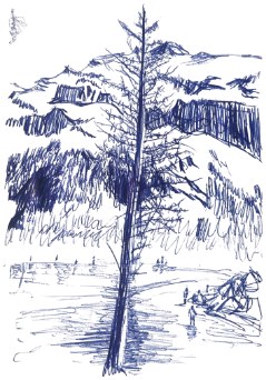 Ball-point sketch of a pine tree in a valley